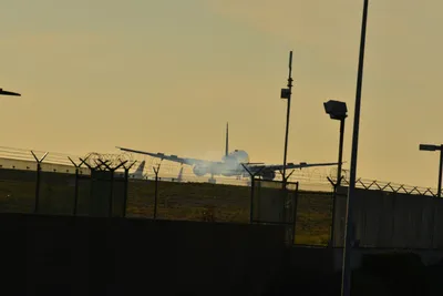 DSC_5716 (Large).JPG